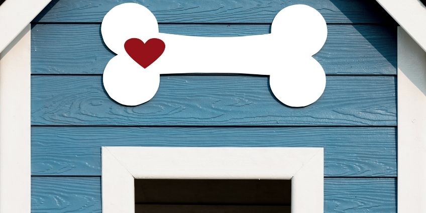 Tips for Decorating Your Doghouse
